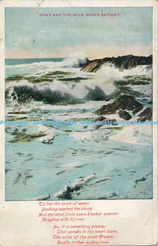 R031345 Was sagen die wilden Wellen Valentinstag