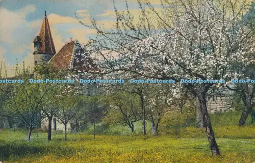 R031355 Alte AK Haus und Garten Fotochromie 1911