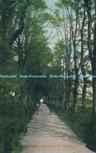 R025787 Bulls Avenue Falmouth Argall