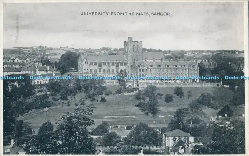 R027052 University from the Maes Bangor Dennis