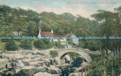 R027058 Jesmond Dene Newcastle on Tyne Valentine