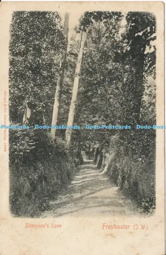 R027067 Tennysons Lane Süßwasser IoW Postkarte