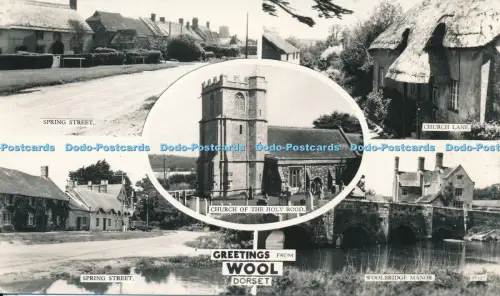 R027403 Grüße aus Wolle Dorset Multi View Chapman RP