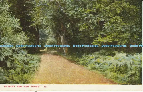 R027409 In Mark Ash New Forest F Broomfield and Co