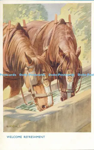 R027446 Welcome Refreshment Salmon No 5084