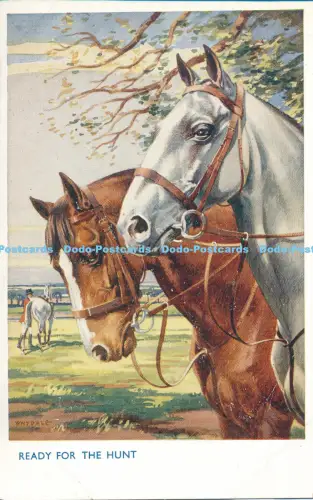 R027447 Jagdfertig Lachs Nr 5085