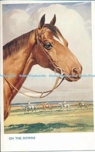 R027449 On the Downs Salmon No 5083