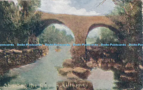 R027524 Shooting the Rapids Killarney 1906