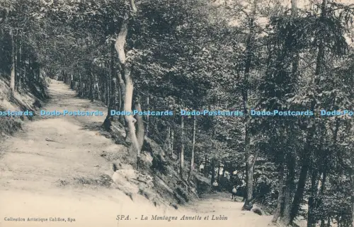 R027562 Spa La Montagne Annette et Lubin