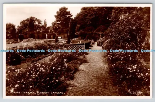 R817563 Bodnant Gardens Rose Terrace Valentine RP