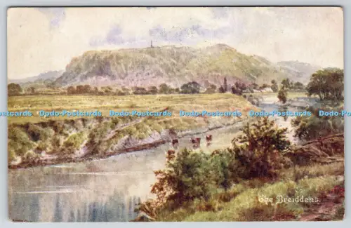 R817564 Postkarte Die Breiddens