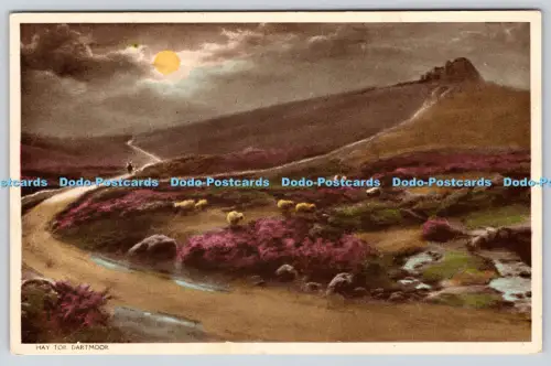 R817572 Hay Tor Dartmoor Postkarte