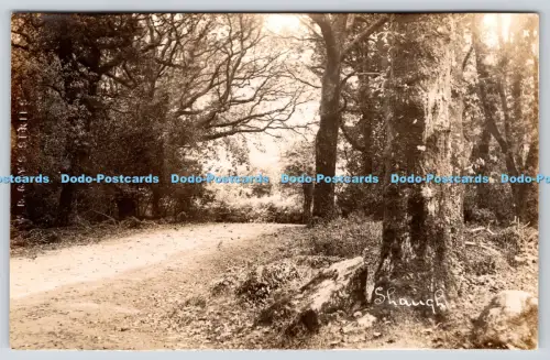 R818668 Shaugh. W. R. Gay