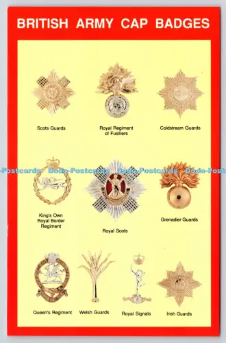 L347923 British Army Cap Badges Crown Bilton Hull Marine Art Poster