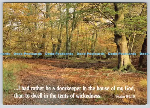 L347230 Autumn Woods Martin Munday People in Print for Trinitarian Bible Society