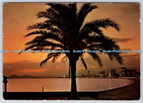 L347289 Benidorm Espana Rueck