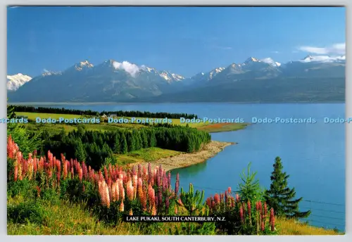 L346136 N Z South Canterbury Lake Pukaki Pictorial Publications Limited Tiki Car