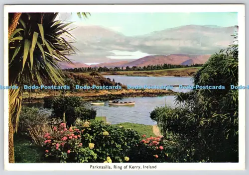 L346440 Irland Parknasillia Ring of Kerry Penman Karten Reittier Salus Press Ltd