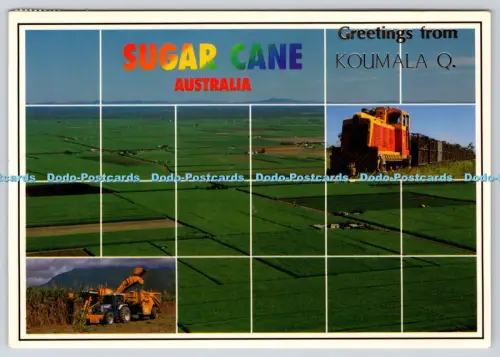 L353099 Grüße aus Koumala Q Zuckerrohr Australien Murray Ansichten Australian Co