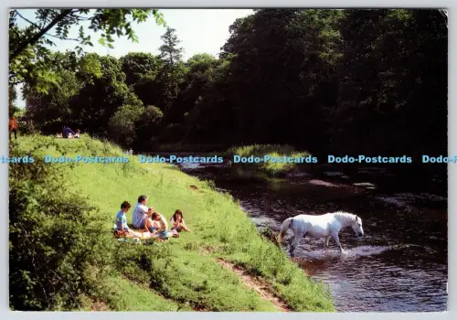 L353101 Bollin Valley Willow Publishing Commercial Centre Ltd 1984