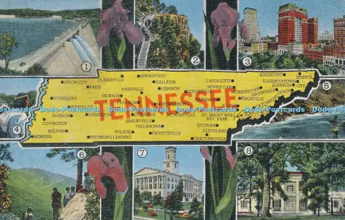 R036479 Tennessee. Multi View. E. C. Kropp