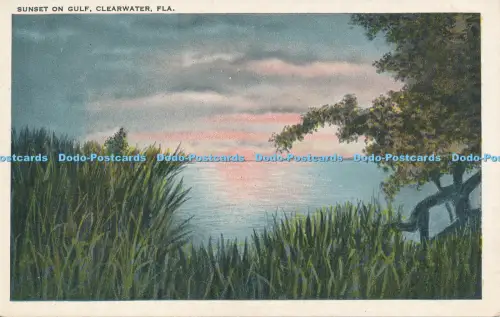 R036485 Sunset of Gulf. Clearwater. Fla. Tichnor