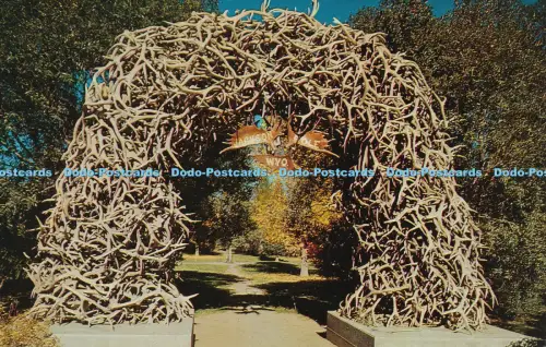 R036494 Elchhornbogen. Jackson. Wyoming