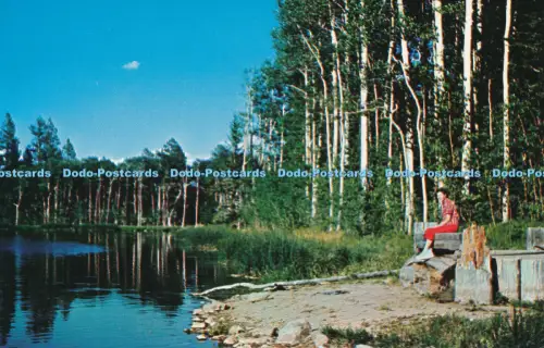 R036495 Posy Lake. LaMoine Pollock