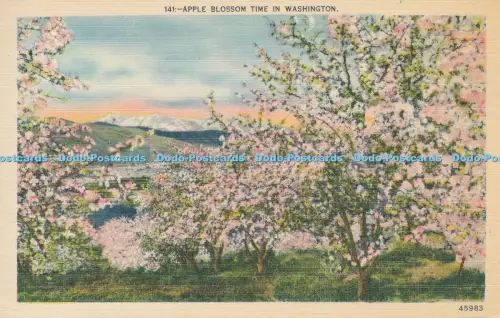 R036456 Apple Blossom Time on Washington. C. P. Johnston