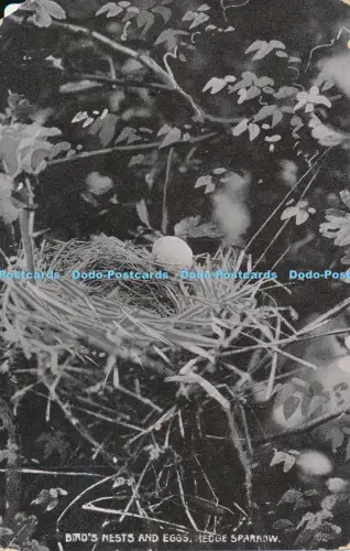 R037190 Vögel Nester und Eier. Heckensperling. G. D. und D. L. Der Stern. 1907