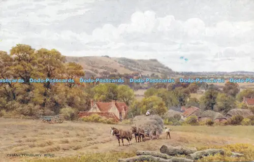 R037373 Chanctonbury Ring. Lachs. 1965