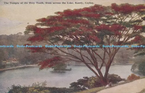 R037594 Der Tempel des Heiligen Zahnes von der anderen Seite des Sees Kandy Ceylon Platte B H