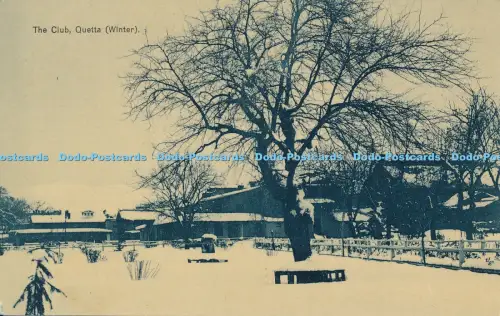 R037926 The Club Quetta Winter B Hopkins