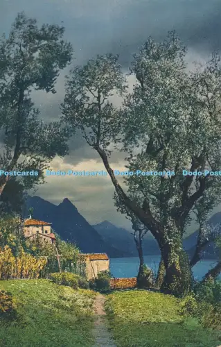 R038104 Les Oliviers pres Gandria Ruedi und Albeck B Hopkins