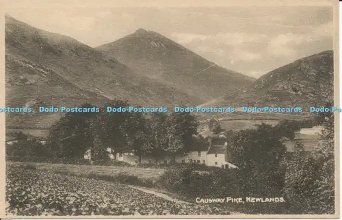 R038429 Causway Pike Newlands H Maysons Serie