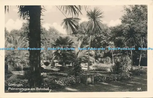 R038543 Göttingen Palmengruppe am Bahnhof B Hopkins