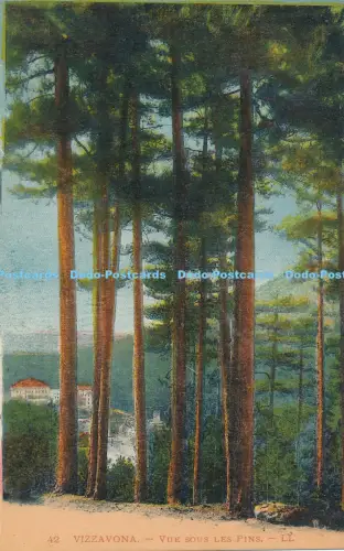 R038584 Vizzavona Vue sous les Pins Levy et Neurdein Reunis No 42 B Hopkins