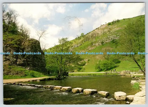 L350360 Dovedale. Derbyshire. Staffordshire Grenze. Die Trittsteine. Larkfie