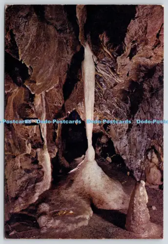 L353786 Yorkshire. Pateley Bridge. Baumstumpf Kreuz Höhlen. Der Wächter. J. Arthur