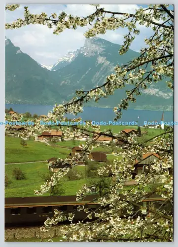 L353792 Spiez am Thunersee. Zum Gunstigen Tageskartenpreis eine Eindruckliche Ru