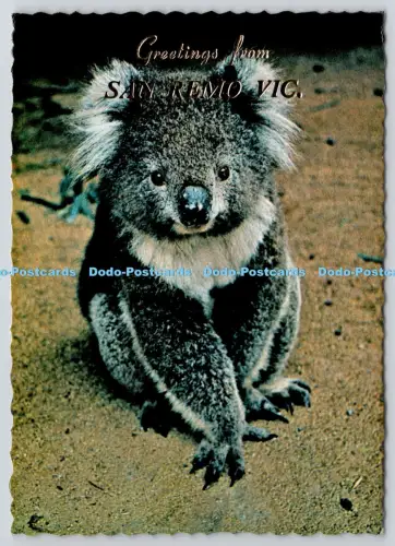 L353802 The Australian Koala. Nucolourvue Productions Pty. Ltd