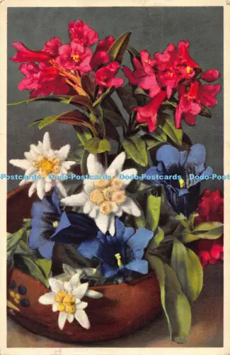 R041843 Edelweiß Gyger und Klopfenstein Nr 2362