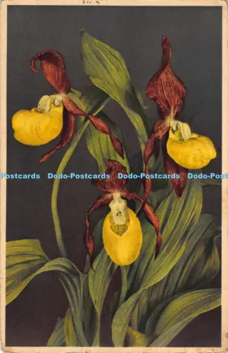 R041846 Damen Slipper J Burrow