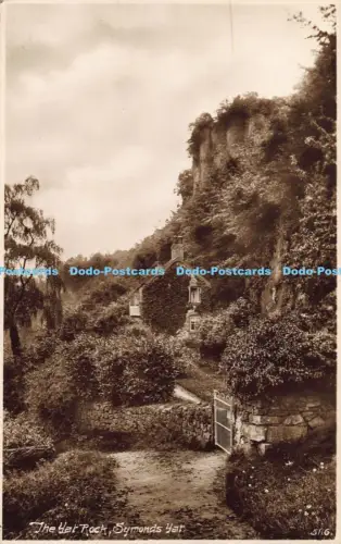 R042129 The Yat Rock Symonds Yat