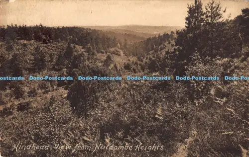 R042137 Hinterkopfansicht von Nutcombe Heights Frith