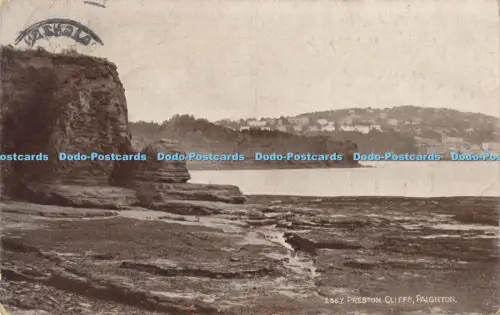 R042171 Preston Cliffs Paignton Salmon Sepio No 2367