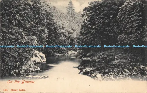 R042278 Auf der Schafgarbe Albany Nr 1454 1903