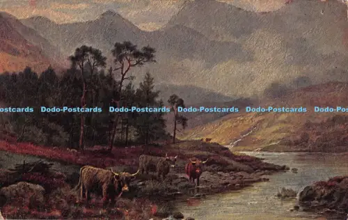 R042286 Alte AK Rinder am Fluss La Carte Olio