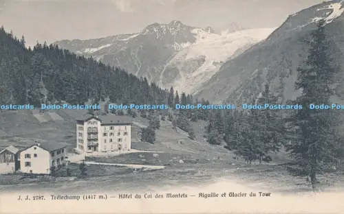 R045682 Trelechamp Hotel du Col des Montets Aiguille et Glacier du Tour Jullien