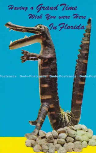 R373450 Having a Grand Time Wish You were Here In Florida FK 66 General Florida